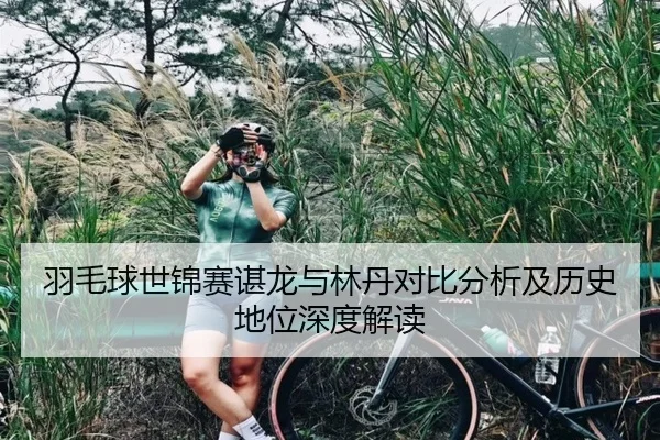 羽毛球世锦赛谌龙与林丹对比分析及历史地位深度解读
